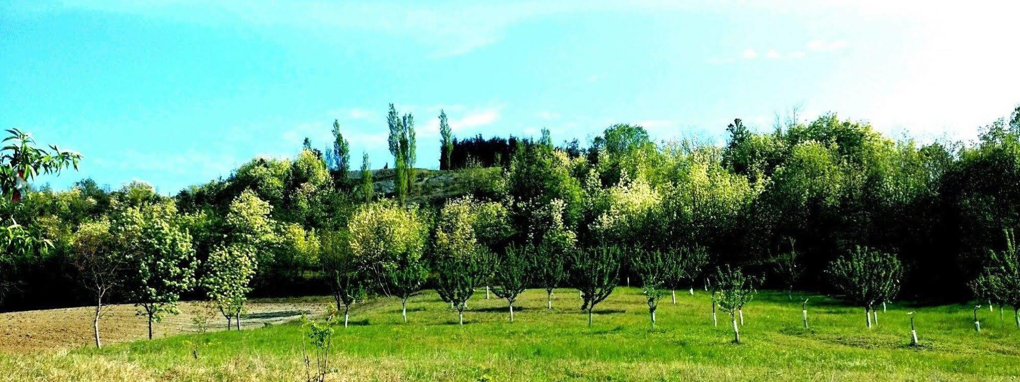 Tenuta Valdorso - Agri Resort Montechiaro D'acqui Buitenkant foto